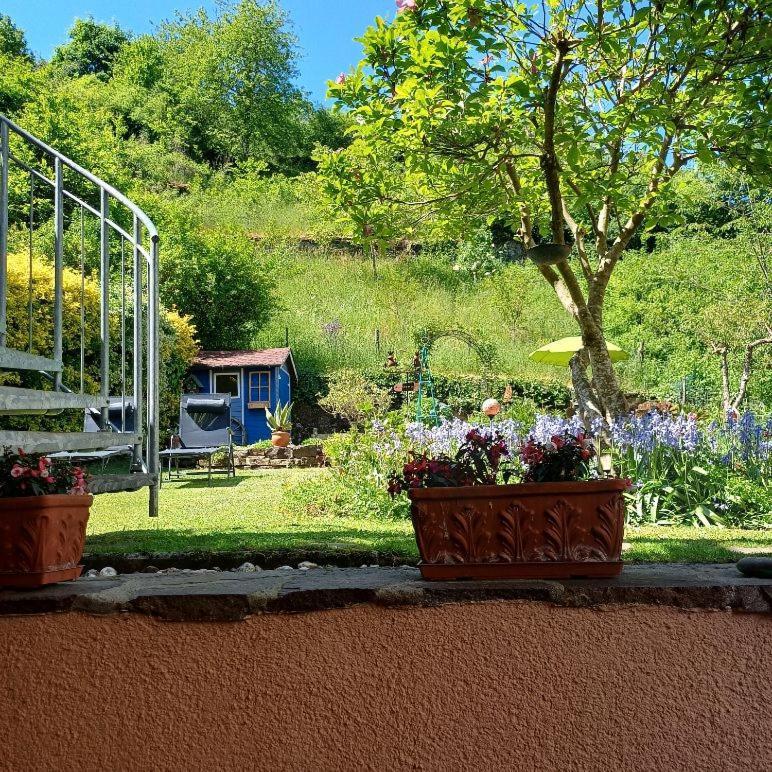 Ferienwohnung Haus Bleser Кохем Экстерьер фото
